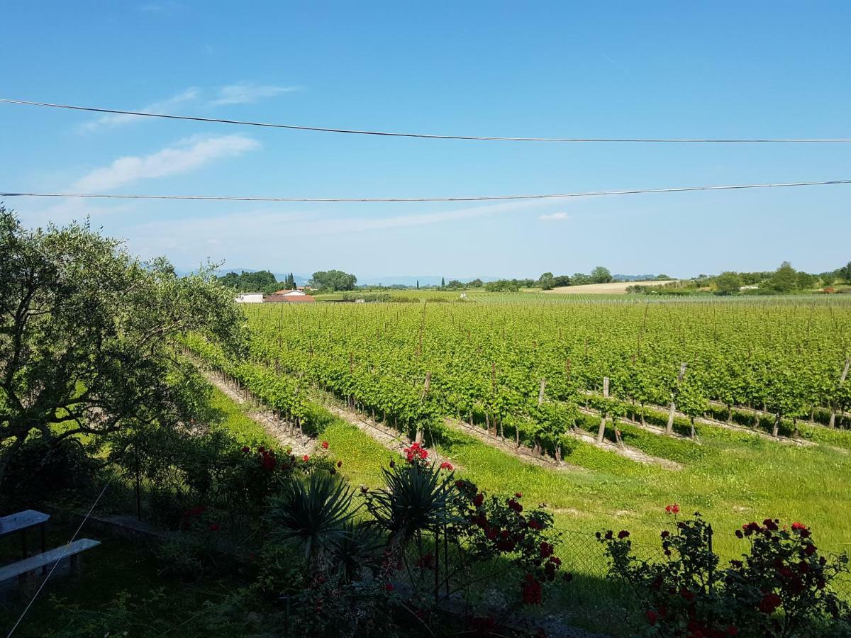 Albergo Mio Boutique Hotel - Adults Only Lazise Zewnętrze zdjęcie